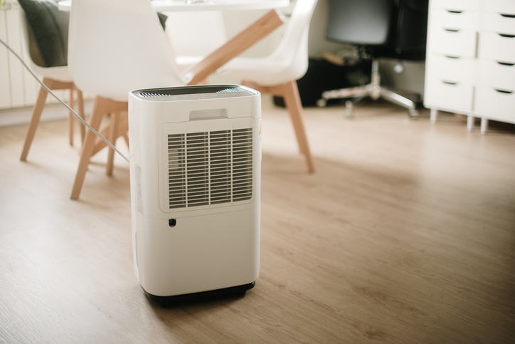 The Role of a Dehumidifier in Preventing Condensation and Dampness