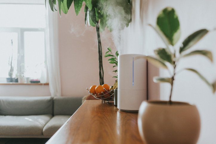 5 Unexpected Signs You Need a Humidifier in Your Home